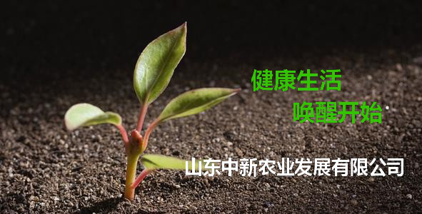 WG电子(中国区) - 官方网站
