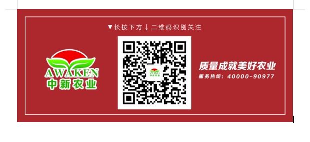WG电子(中国区) - 官方网站